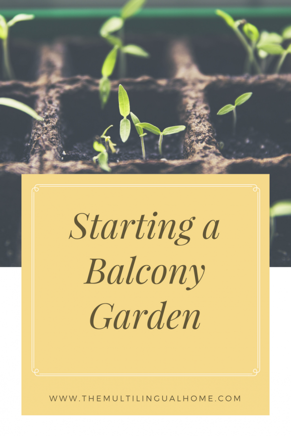 starting a balcony garden